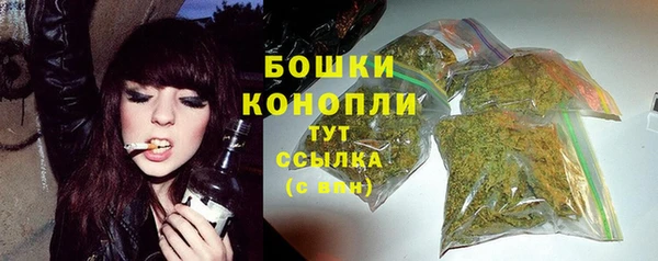 PSILOCYBIN Арсеньев