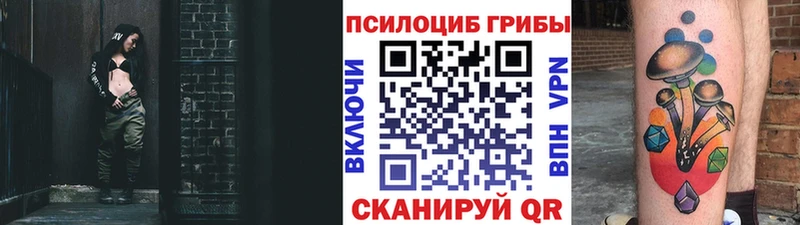 Псилоцибиновые грибы Psilocybe  Краснотурьинск 